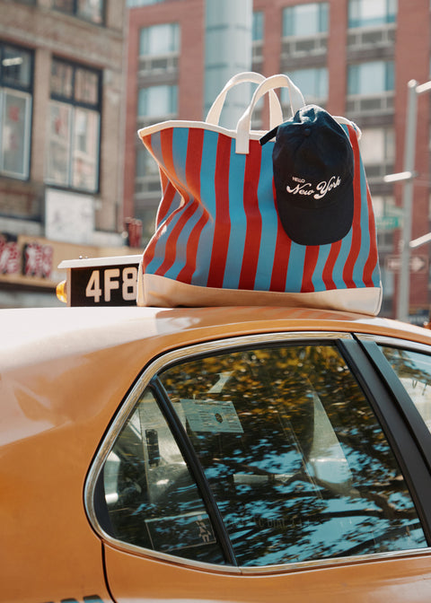 The accessories sitting on top of an NYC taxi cab